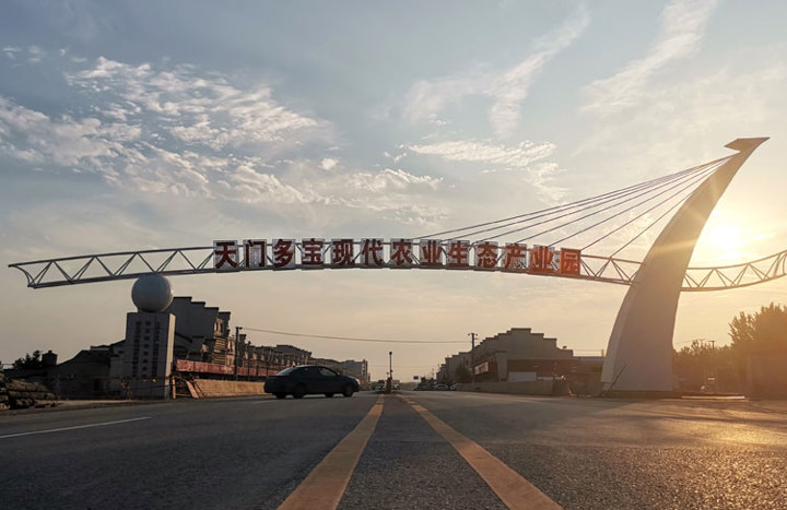 多寶鎮(zhèn)：著力補鏈強鏈，推動蔬菜產(chǎn)業(yè)高質(zhì)量發(fā)展