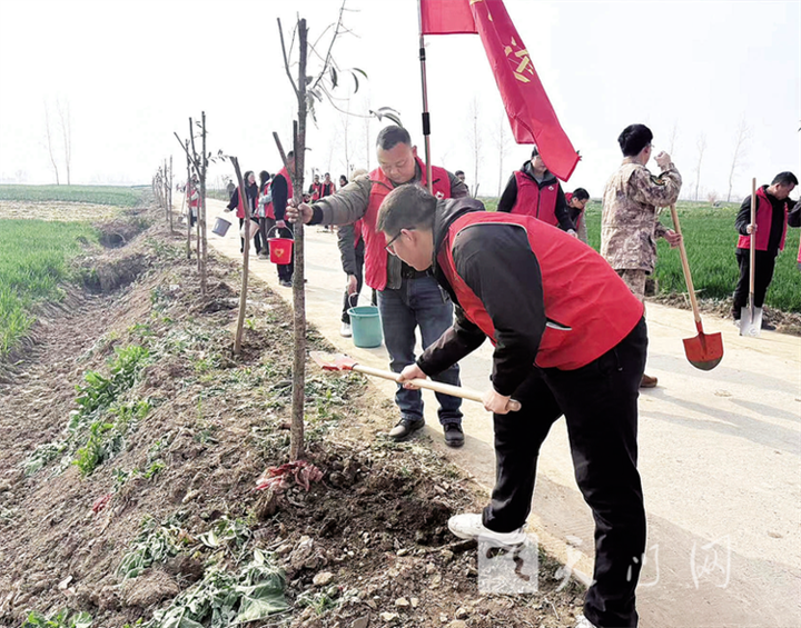 共植綠色家園