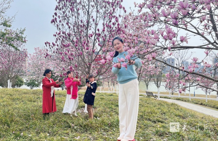 踏春賞花
