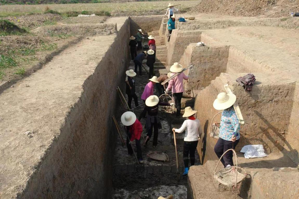 石家河遺址博物館項(xiàng)目建設(shè)工地，工人們正加緊施工（如圖）.jpg